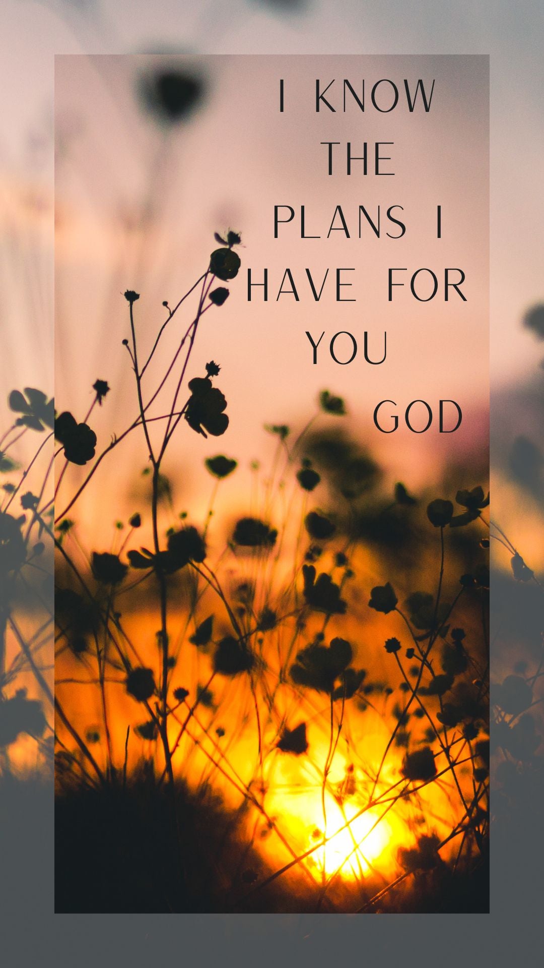 Faithful Reminders- Phone Wallpapers- Digital Downloads